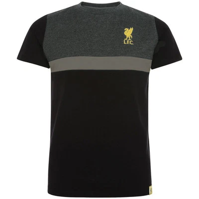 Liverpool FC T-Shirt Panel Junior 5-6 Yrs Official Merch Birthday Xmas Gift idea - Image 1 of 4