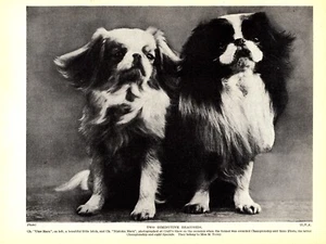 1930s Antique Japanese Chin Print Champions Ume Maru and Nintoku Maru 5284b - Picture 1 of 1