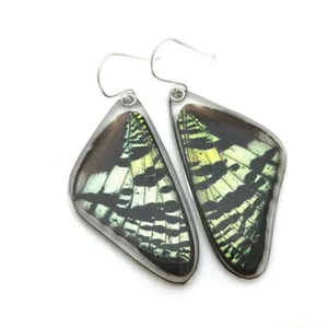 Sunset Moth Stirling Silver Earrings - Picture 1 of 2