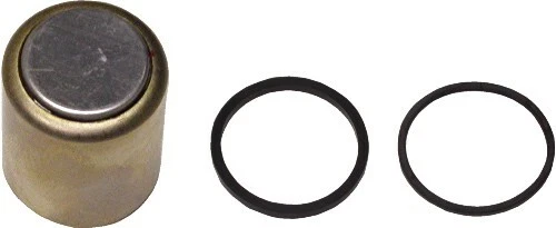 Pistón pinza de freno Kawasaki KX 250 L 1999-2002 - trasero - 1 (cada uno) Foto 1 de 1