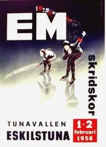 Original vintage poster ICE SPEED SKATING EC 1958 SWEDEN - Picture 1 of 1