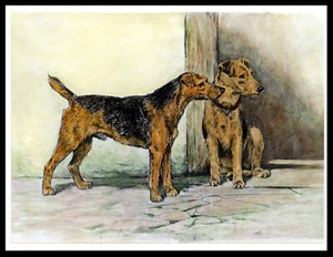 WELSH TERRIER TWO DOGS LOVELY VINTAGE STYLE DOG ART PRINT POSTER - Picture 1 of 1