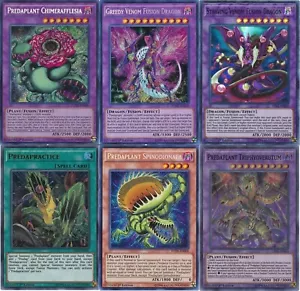 Mazo de torneo Yugioh Predaplant - Quimerafflesia - Triphyoverutu - 55 cartas casi nuevo - Imagen 1 de 1