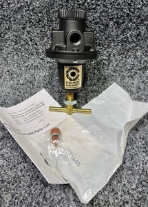 Regulador de aire comprimido COILHOSE PNEUMATICS 8803G 3/8" 250 psi máx. - Imagen 1 de 5