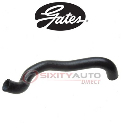 Gates Lower Radiator Coolant Hose for 2000-2001 Infiniti G20 2.0L L4 - wh Foto 1 de 4