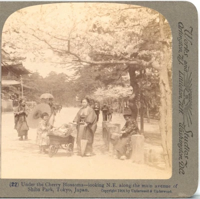 JAPÃO, Under The Cherry Blossoms, Main Ave of Shiba Park, Tokyo-Stereoview Z45 - Imagem 1 de 4