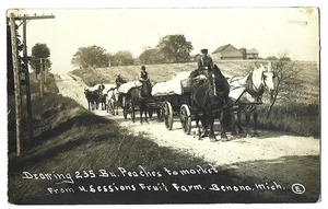 Foto real de las primeras sesiones de Peaches to Market de Benona, MI - RPPC Michigan postal - Imagen 1 de 1