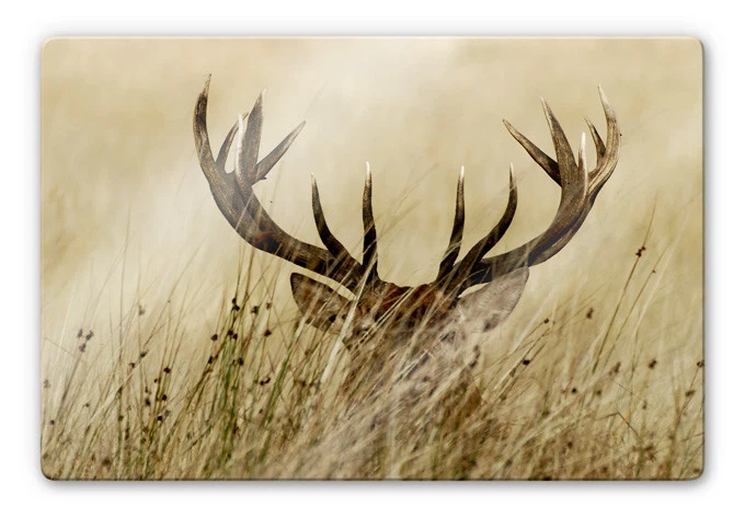 Glasbild Wachsamer Hirsch braun WANDDEKO 4mm ESG SICHERHEITSGLAS BILD - Bild 1 von 1