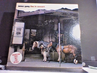 James Gang In Concert Stereo Vinyl LP ABCX 733 Like New Promo Copy - Image 1 of 3