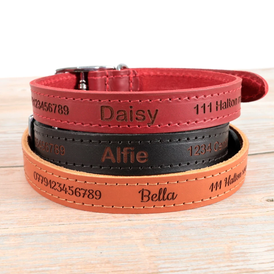 Collar de cuero personalizado para perro | Crea tu matrícula animal Foto 1 de 4