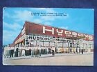 1950s Colgate Oklahoma Hudsons Big Country Store Advertsing Postcard