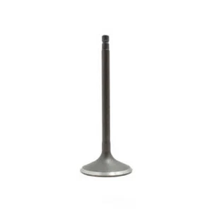 Engine Intake Valve fits 2009-2012 Suzuki Equator  DNJ ENGINE COMPONENTS - Picture 1 of 1
