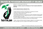 Sulfate De Potassium 10Kg  Micronisée 20? Terralba Aspersion Floraison