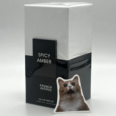 Spicy Amber 100ml Eau De Parfum French Avenue By Fragrance World