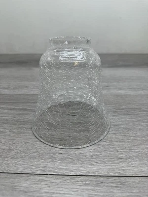 Pantalla de vidrio transparente en forma de campana Quorum International 2807 de 5" W con adaptador de 2-1/4" Foto 1 de 2