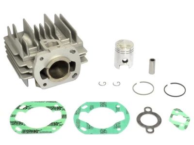 Cilindro 50ccm Sachs 504/505 Athena Hercules M 1 4 5 Prima 2 4 5S MX1 Rixe - Imagen 1 de 4