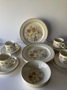 Vintage J and G Meakin Trend Hedgerow 20 Piece Dinner Set -BNIB - Picture 1 of 9