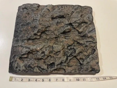 Fondo para el Hábitat Nano Camarón FLUVAL - nunca lo usamos. Foto 1 de 4