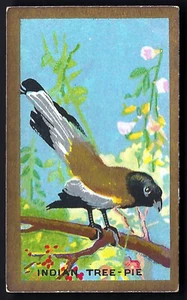 CAVANDERS - FOREIGN BIRDS - #19 INDIAN TREE PIE - Foto 1 di 2