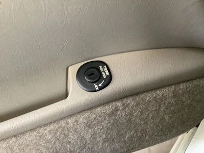 Interruptor de puerta delantera izquierda del conductor maletero del conductor se adapta a 00-03 LESABRE 304548 Foto 1 de 4