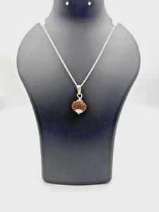 Colgante de plata 925 Mukhi Rudraksha Indonesia certificado 10 | Cuentas raras originales - Imagen 1 de 6