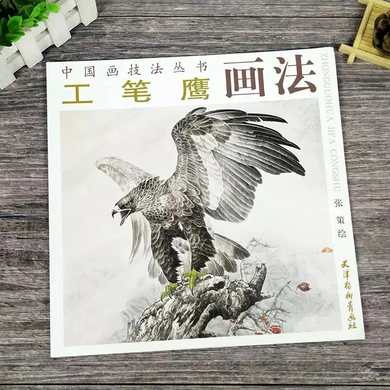 Libro de referencia de tatuaje flash boceto águila halcón pintura caligrafía china Foto 1 de 4