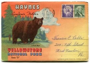 Haynes Yellowstone National Park Daisy Geyser Old Faithful Postcard Folder - Picture 1 of 2