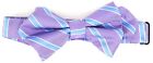 Nordstrom Boys 100 Silk Purple Blue Striped Bow Tie L16434