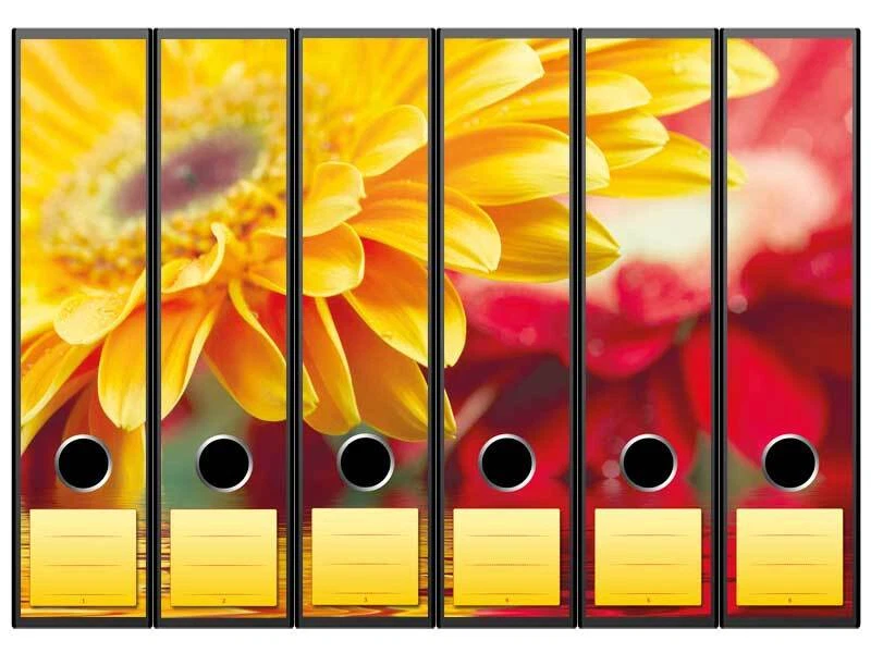 6 Ordnerrücken Motiv-Aufkleber GELBE GERBERA - Bild 1 von 1