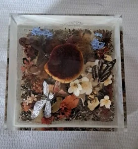 Lucite Paperweight W Rolfe Signed Limited Edition #99: 1974 Dragonfly Butterfly - Picture 1 of 12