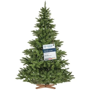 FairyTrees Artificial Christmas Tree – Nordmann Fir, 220 cm (7 ft), Realistic - Picture 1 of 5