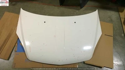 07 08 09 10 SATURN OUTLOOK HOOD OEM BS-192 Foto 1 de 2