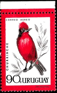 1962 Uruguay Air Mail BIRDS CURRINCHE 🔥MNH OG VF - Picture 1 of 1