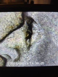 1943P Jefferson (Doubled Eye Error) SILVER World War 2 Nickel VG Condition  - Picture 1 of 3