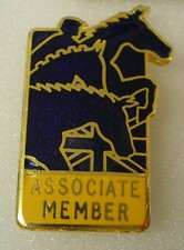 Bhta Enamel Lapel Badge Equestrian Horses Show Jumping Associate Member