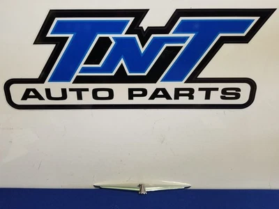 Parachoques delantero Ford Thunderbird 2002-2005 emblema Thunderbird logotipo moldura Foto 1 de 4