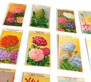 70 Vintage French Flower Seed Packet Labels 1920-30s Not Reprints - Picture 1 of 10