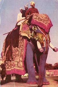Cartolina d'epoca - Elephant Ride - Foto 1 di 1