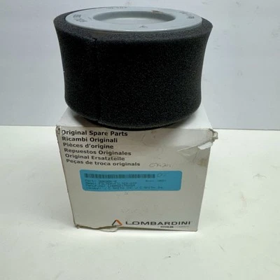 Filtro de aire Kohler Lombardini 2175254 **OFERTA** Envío gratuito Foto 1 de 2