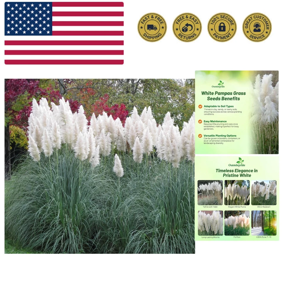 Transforma tu jardín con 1000 semillas de hierba blanca de la pampa - Fácil y elegante Foto 1 de 4