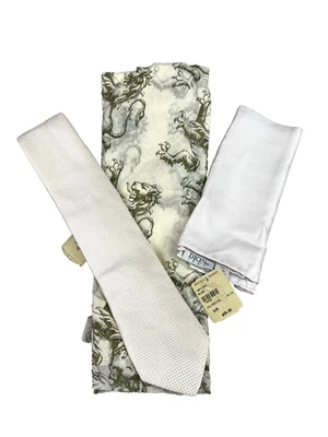 Dion Patrick James галстук и карман квадратный комплект мужской белый итальянский чистый шелк официальный - Изображение 1 из 4