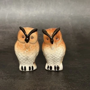 Vintage Ceramic Horned Owl Salt and Pepper Shakers Glazed Brown White Birds - Picture 1 of 7