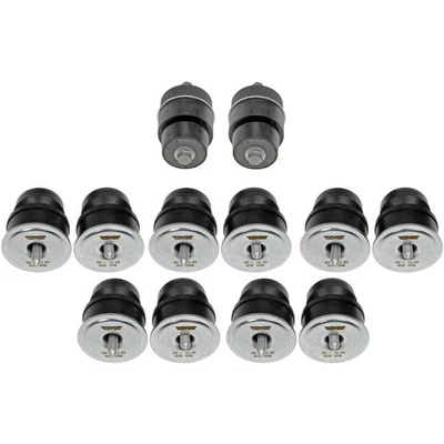 Juego de montaje de carrocería CSW para Ford Crown Victoria Mercury Grand Marquis Dorman Foto 1 de 2