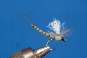 Fliegentom Trockenfliege - 3 Stück Graue Maifliege mit Extended Body - Bild 1 von 3