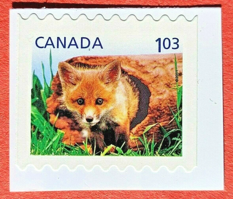 Canada Stamp #2430 "Baby Wildlife - Red Fox" From Booklet MNH 2011 - Image 1 of 1