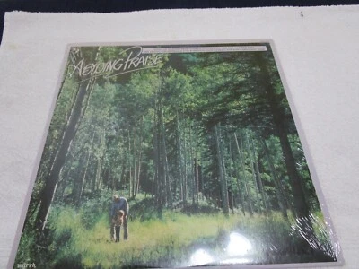 Abiding Praise Gospel Compilation LP (1982, Myrrh Records) FREE SHIPPING - Image 1 of 4