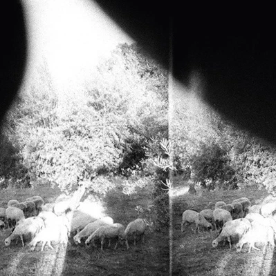 Asunder, Sweet And Other Distress  * by Godspeed You! Black Emperor [Audio CD] Foto 1 de 2