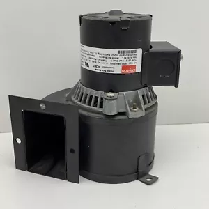 Motor soplador de alta temperatura Dayton 4C491 1/20 HP 115V 2800/3200 RPM - Imagen 1 de 10