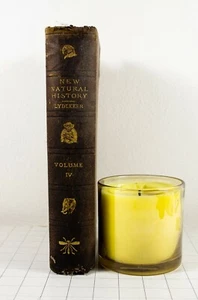 1901 NEW NATURAL HISTORY BIRDS Vol 4 RICHARD LYDEKKER 300+ ENGRAVINGS B264 - Picture 1 of 12