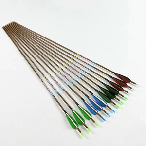 3Pcs 30" Spine 700 Compound bow Arrows Pure Carbon Archery Target Practice - Picture 1 of 12